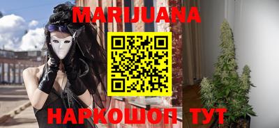 сатива Можайск