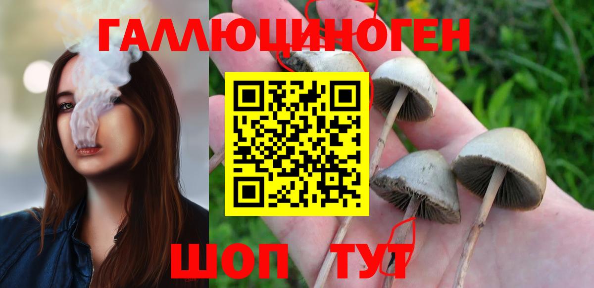 Псилоцибиновые грибы MAGIC MUSHROOMS Истра