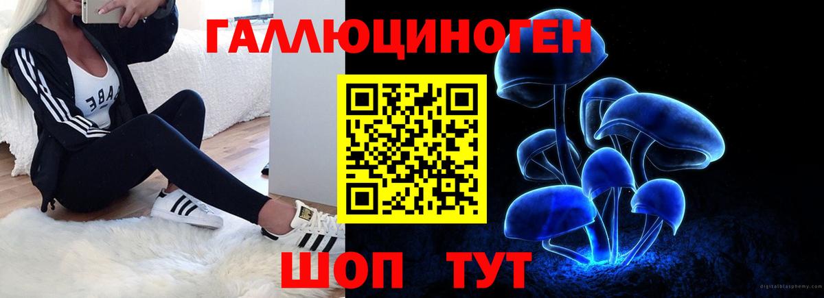 Галлюциногенные грибы прущие грибы  Вход с VPN  Истра 